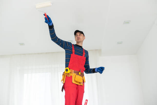 Dehumidification Services in Emmaus, PA